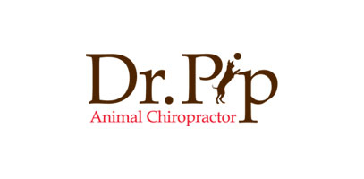 Logo Design Primary- Dr. Pip
